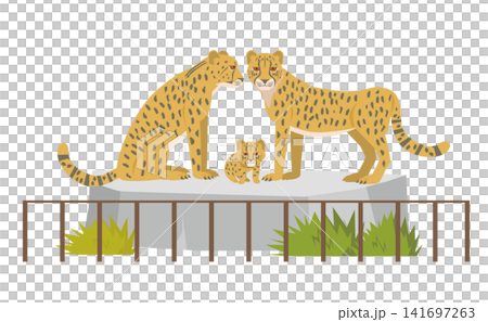 動物園裡的一群獵豹 動物園裡的一群獵豹 141697263