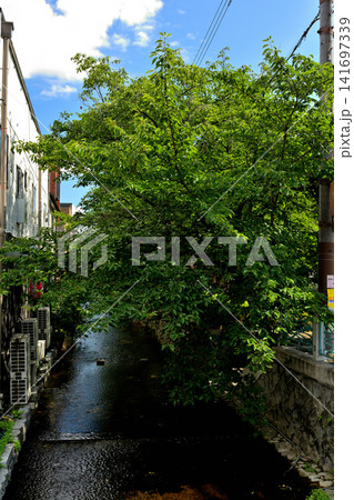 京都・高瀬川 141697339