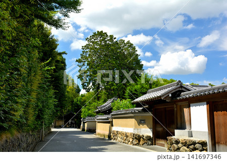 京都・東福寺 京都・東福寺 141697346