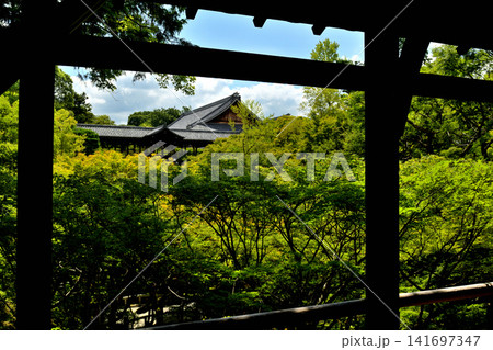 京都・東福寺 京都・東福寺 141697347
