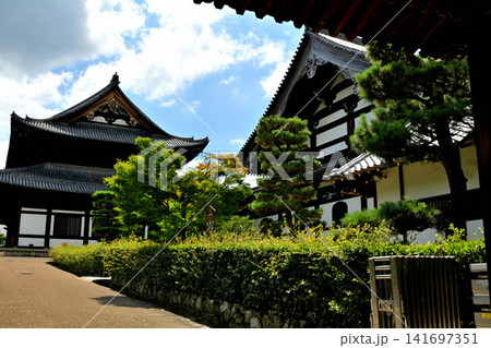 京都・東福寺 京都・東福寺 141697351