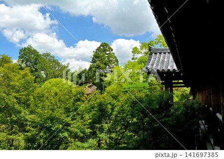 京都・東福寺 京都・東福寺 141697385