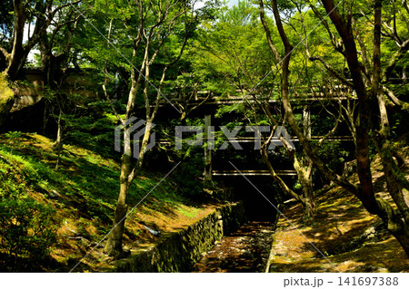 京都・東福寺 141697388
