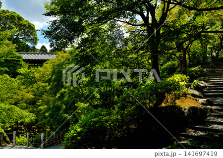 京都・東福寺 京都・東福寺 141697419