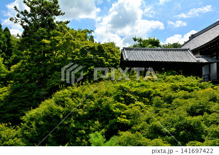 京都・東福寺 京都・東福寺 141697422