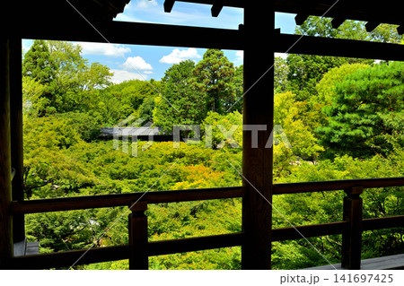京都・東福寺 京都・東福寺 141697425