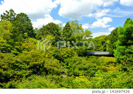 京都・東福寺 京都・東福寺 141697426