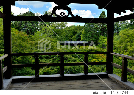 京都・東福寺 京都・東福寺 141697442