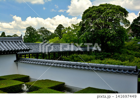 京都・東福寺 京都・東福寺 141697449