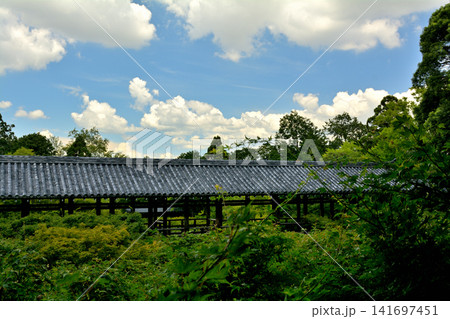 京都・東福寺 京都・東福寺 141697451