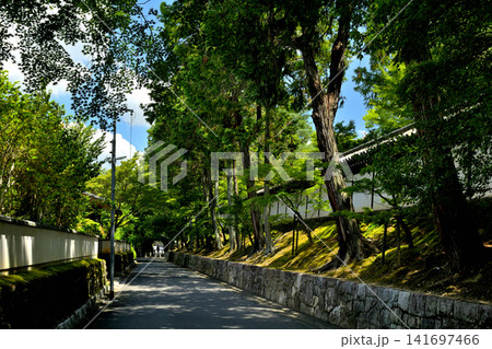 京都・東福寺 京都・東福寺 141697466