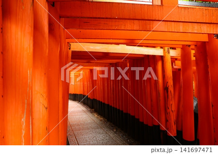 Fushimi Inari Taisha Shrine and iconic torii gates in Kyoto Japan Fushimi Inari Taisha Shrine and iconic torii gates in Kyoto Japan 141697471