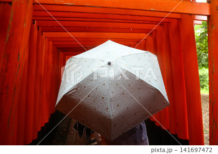 Fushimi Inari Taisha Shrine and iconic torii gates in Kyoto Japan 141697472