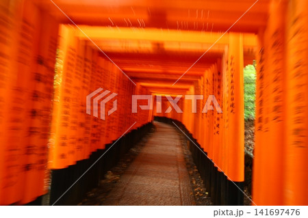 Fushimi Inari Taisha Shrine and iconic torii gates in Kyoto Japan Fushimi Inari Taisha Shrine and iconic torii gates in Kyoto Japan 141697476