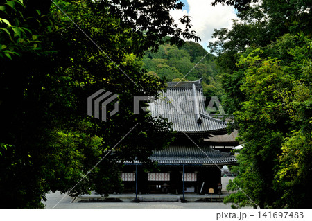 京都・泉涌寺 京都・泉涌寺 141697483