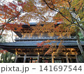 日本の美しい秋　紅葉 141697544