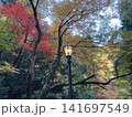 日本の美しい秋　紅葉 141697549