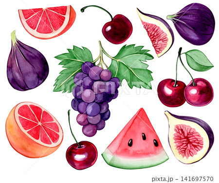 set of summer fruits: figs, cherries and grape. Watercolor illustration in a cartoon style. 141697570