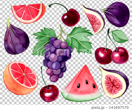 set of summer fruits: figs, cherries and grape. Watercolor illustration in a cartoon style. 141697570