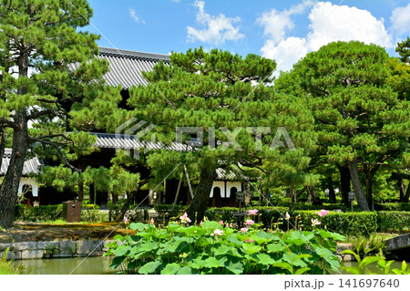 京都・建仁寺 京都・建仁寺 141697640