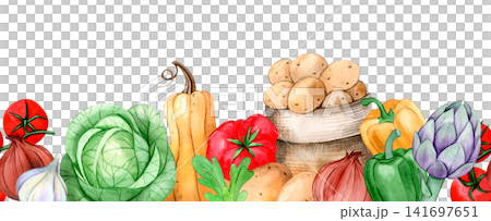 Seamless border of farm vegetables. Watercolor illustration Seamless border of farm vegetables. Watercolor illustration 141697651