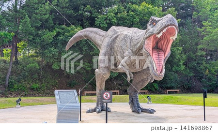 福井県立 恐竜博物館 ティラノサウルス 福井県立 恐竜博物館 ティラノサウルス 141698867