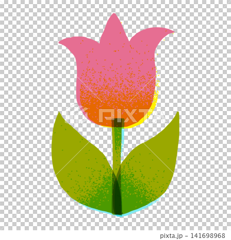Cute Scandinavian-style tulip illustration Cute Scandinavian-style tulip illustration 141698968
