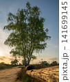 Westruper Heide, Haltern, North Rhine Westphalia, Germany 141699145