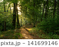 Westruper Heide, Haltern, North Rhine Westphalia, Germany 141699146
