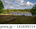 Diersfordter forest, Wesel, North Rhine Westphalia, Germany 141699154