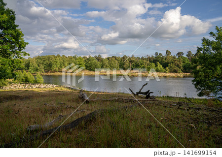 Diersfordter forest, Wesel, North Rhine Westphalia, Germany Diersfordter forest, Wesel, North Rhine Westphalia, Germany 141699154