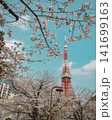 東京タワーと桜 141699163