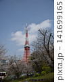 東京タワーと桜 141699165