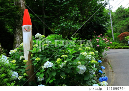あきる野市 南沢あじさい山の紫陽花 あきる野市 南沢あじさい山の紫陽花 141699764