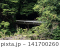 森の中の小さな橋 141700260