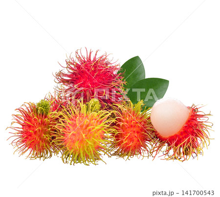 Fresh Thai rambutan with vibrant red and green spines, juicy, sweet, and delicious tropical fruit on white background. Fresh Thai rambutan with vibrant red and green spines, juicy, sweet, and delicious tropical fruit on white background. 141700543