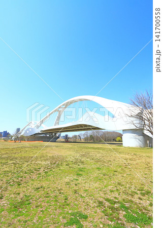 愛知県豊田市、矢作川に架かる豊田大橋の風景 愛知県豊田市、矢作川に架かる豊田大橋の風景 141700558