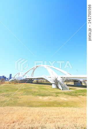 愛知県豊田市、矢作川に架かる豊田大橋の風景 愛知県豊田市、矢作川に架かる豊田大橋の風景 141700566