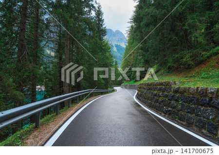 Asphalt wet mountain road passing through pine forest in summer Asphalt wet mountain road passing through pine forest in summer 141700675