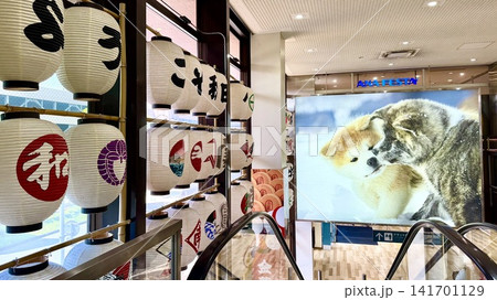 旅情を感じるディスプレイ(秋田竿燈まつりの提灯・秋田犬のパネル)〈秋田空港ターミナルビル2階〉 旅情を感じるディスプレイ(秋田竿燈まつりの提灯・秋田犬のパネル)〈秋田空港ターミナルビル2階〉 141701129