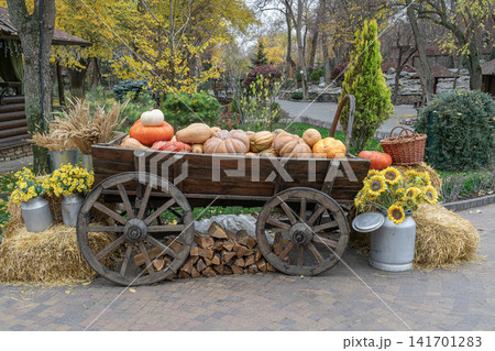 Fall display of pumpkins and flowers on a cart Fall display of pumpkins and flowers on a cart 141701283