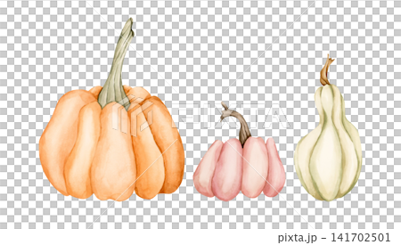 Cute Pumpkin Gourd Set. Autumn garden vegetable. Watercolor hand drawn floral food illustration isolated on white background for fall design home kitchen textile cozy print porcelain crockery package Cute Pumpkin Gourd Set. Autumn garden vegetable. Watercolor hand drawn floral food illustration isolated on white background for fall design home kitchen textile cozy print porcelain crockery package 141702501