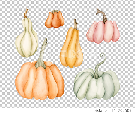Cute Pumpkin Gourd Set. Autumn garden vegetable. Watercolor hand drawn floral food illustration isolated on white background for fall design home kitchen textile cozy print porcelain crockery package Cute Pumpkin Gourd Set. Autumn garden vegetable. Watercolor hand drawn floral food illustration isolated on white background for fall design home kitchen textile cozy print porcelain crockery package 141702503