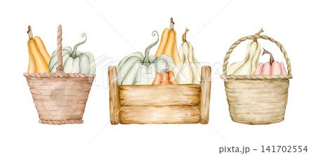 Cute Pumpkins Wicker Basket Wooden Box Set. Watercolor hand drawn floral food illustration isolated on white background for farm garden design home kitchen textile cozy print crockery cottagecore 141702554