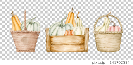 Cute Pumpkins Wicker Basket Wooden Box Set. Watercolor hand drawn floral food illustration isolated on white background for farm garden design home kitchen textile cozy print crockery cottagecore 141702554