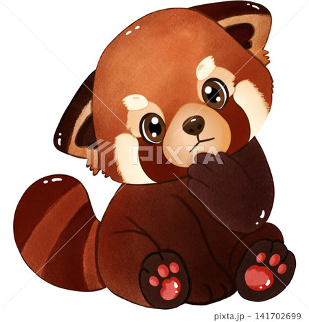 The cute red panda  141702699