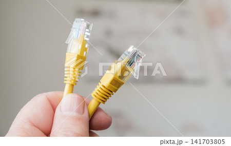 Hand holding two yellow ethernet network cables with RJ45 connectors. Hand holding two yellow ethernet network cables with RJ45 connectors. 141703805