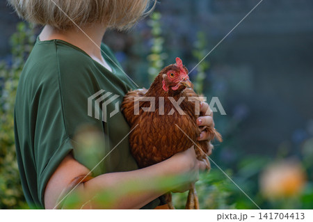 Woman holding brown hen in her hands. Cheerful female farmer holding brown hen in her hands in the farm. 141704413