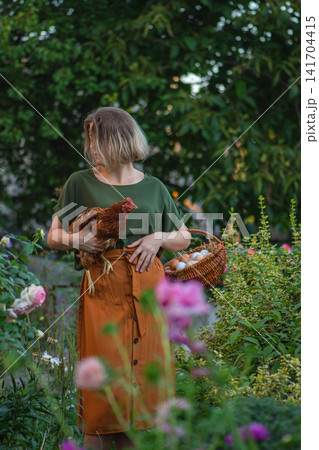 Wicker basket filled with white and brown eggs rests in woman hands alongside calm red hen in sunlit garden. Woman carries fresh eggs in wicker basket and holds red hen Wicker basket filled with white and brown eggs rests in woman hands alongside calm red hen in sunlit garden. Woman carries fresh eggs in wicker basket and holds red hen 141704415