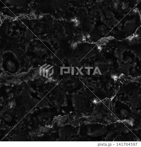 Dark Black Marble with Glowing White Veins Dark Black Marble with Glowing White Veins 141704597